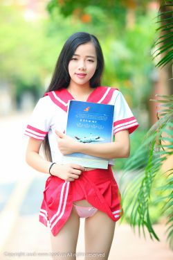 宋慈韶华录电视剧免费观看